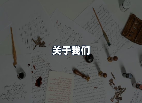 关于我们
