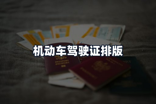 机动车驾驶证排版